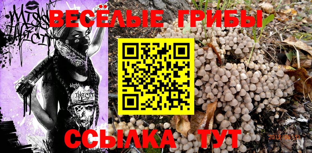 купить наркоту  Псилоцибиновые грибы Psilocybe  Вход с VPN  Галлюциногенные грибы MAGIC MUSHROOMS  Соль-Илецк 